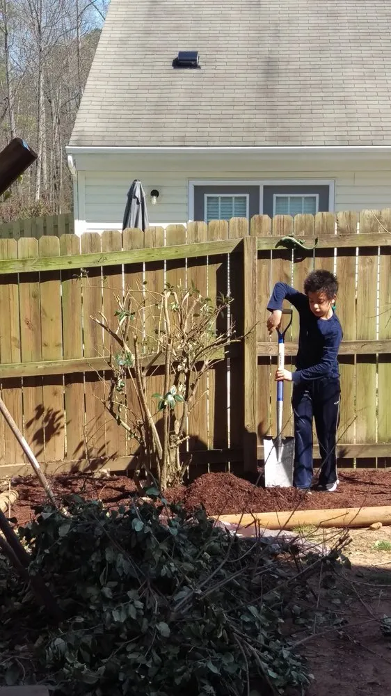 Professional yard cleanup service in Durham, NC - Tierra Verde