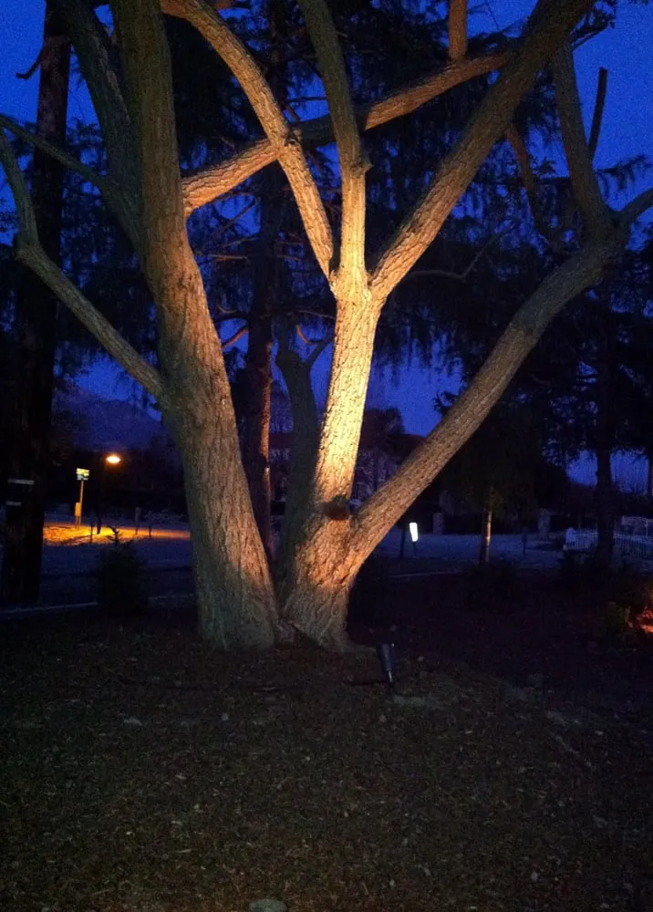 Top-rated yard cleanup service for year-round maintenance in Arcadia, CA by Tierra Verde Landscape & Masonry