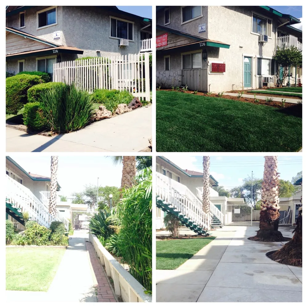 Custom landscaping services in Arcadia, CA by Tierra Verde Landscape & Masonry