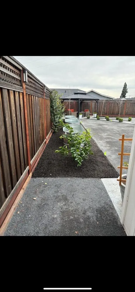 Local yard cleanup service experts serving Rohnert Park, CA - Tierra Verde Landscape