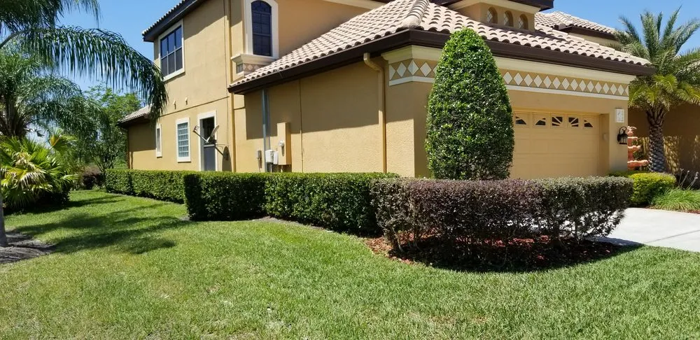 Affordable landscape design for residential properties in Tampa, FL by Tierra Verde