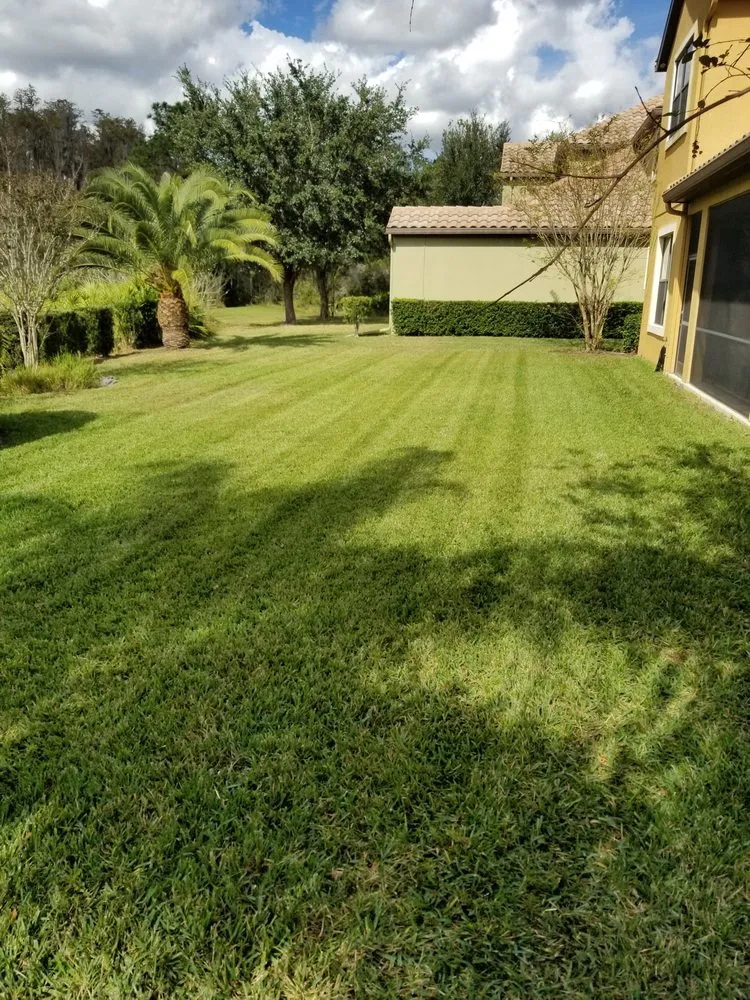 Custom lawn mowing service in Tampa, FL - Tierra Verde