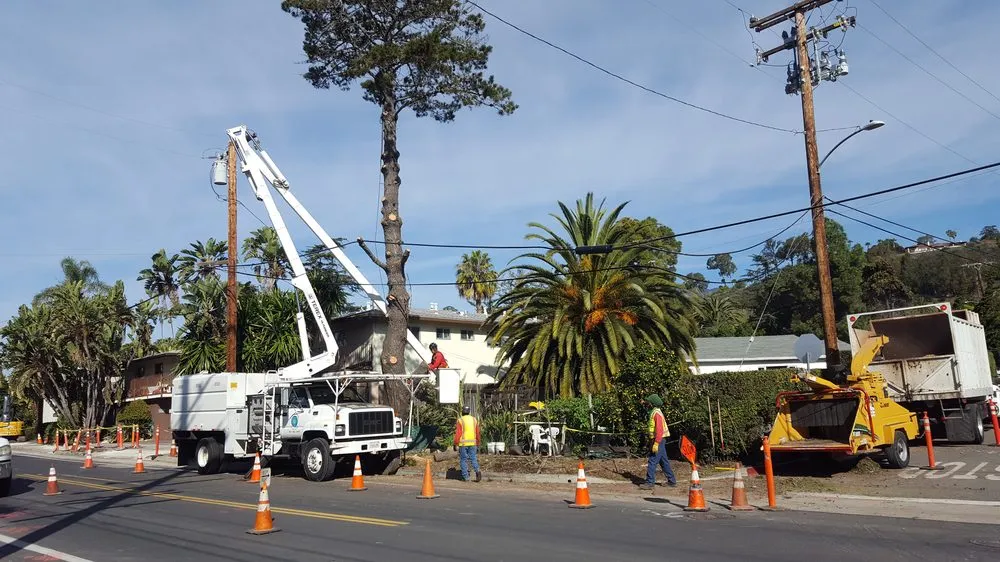 Top-rated landscape installation for year-round maintenance in Santa Barbara, CA by Tierra Verde Tree Care