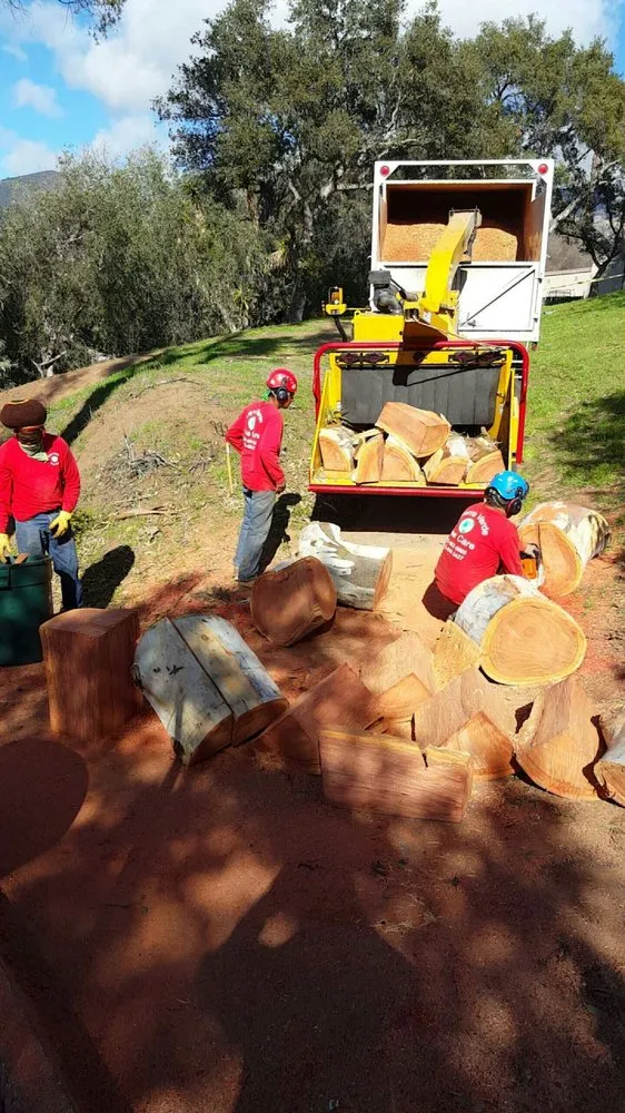 Expert landscape design in Santa Barbara, CA - Tierra Verde Tree Care