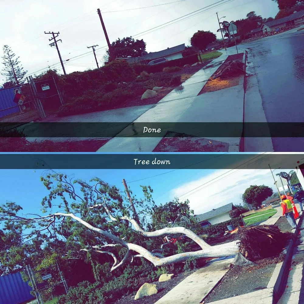 Custom lawn mowing service with custom design in Santa Barbara, CA by Tierra Verde Tree Care