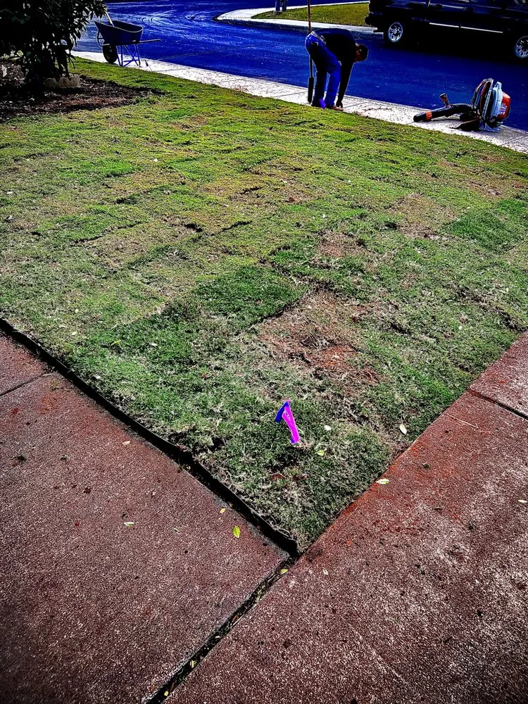 Trusted yard maintenance experts serving San Antonio, TX - Tierrablanca Irrigation