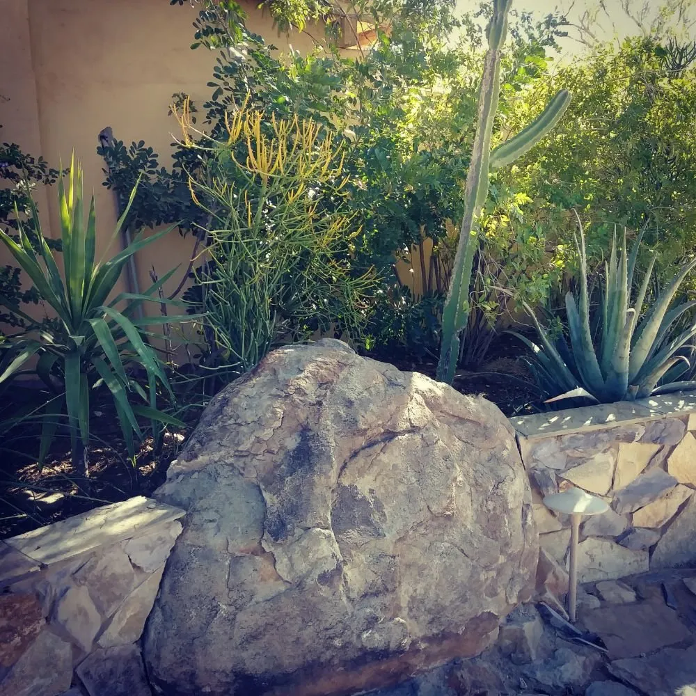 Professional garden landscaping experts serving Phoenix, AZ - TierraCare Landscaping