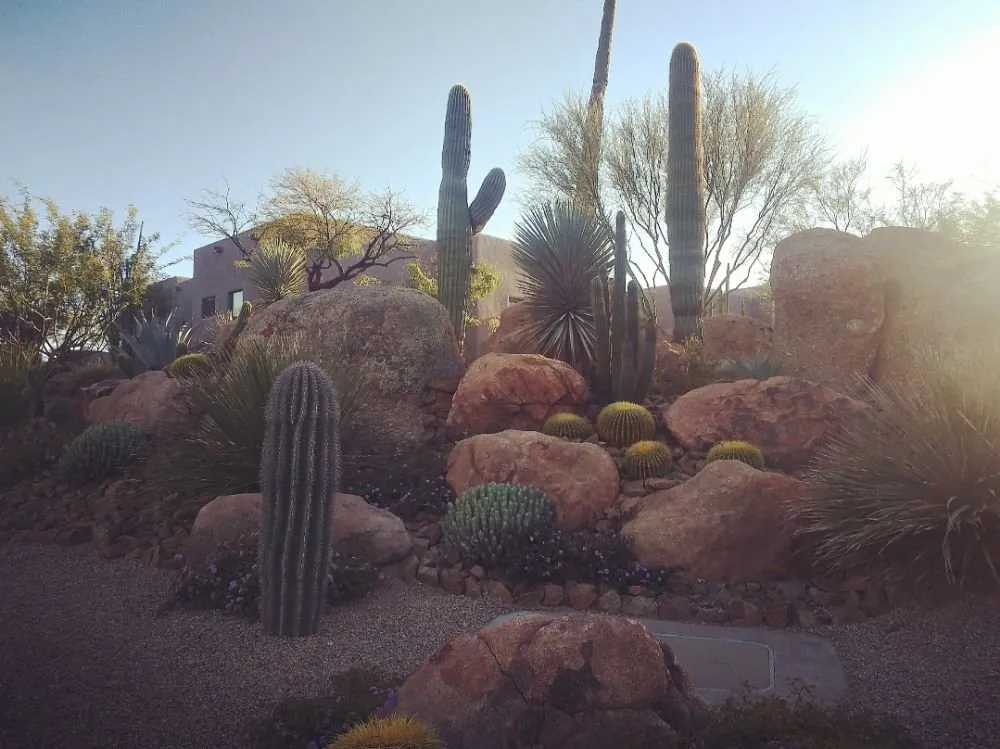 Reliable yard maintenance experts serving Phoenix, AZ - TierraCare Landscaping