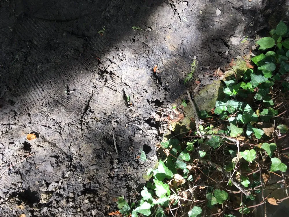 Top-rated lawn mowing service in Northville, MI by TierraSol Landscaping