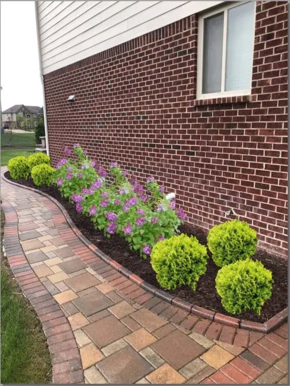 Expert yard maintenance experts serving Northville, MI - TierraSol Landscaping