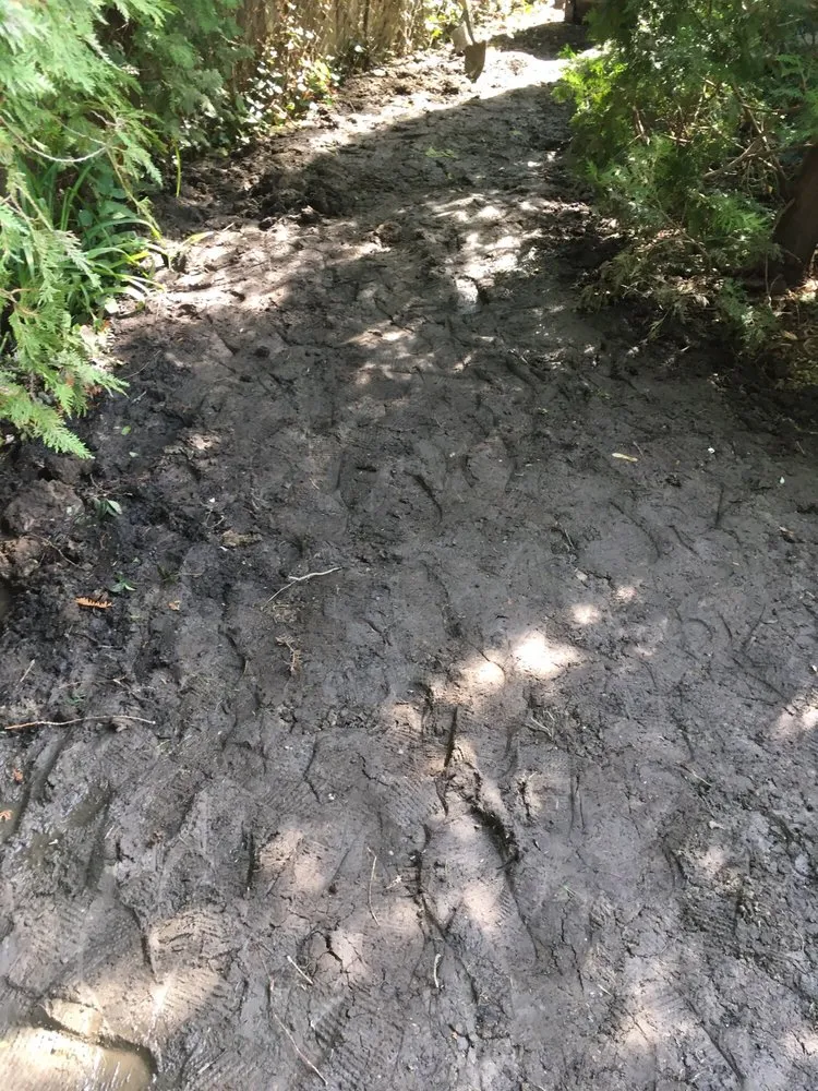 Professional lawn mowing service for year-round maintenance across Northville, MI - TierraSol Landscaping