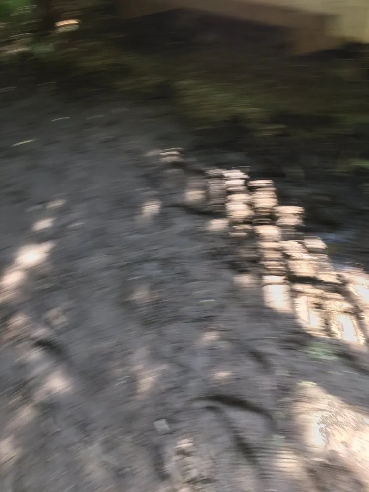 Top-rated lawn mowing service experts serving Northville, MI - TierraSol Landscaping