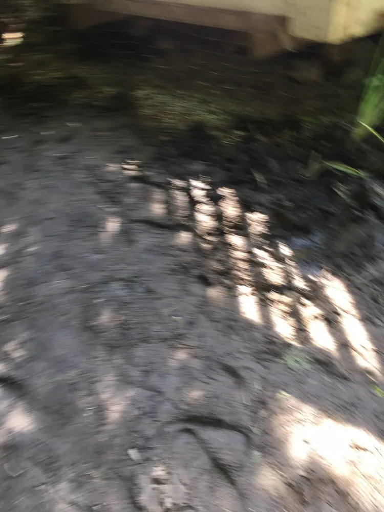 Affordable landscaping services for beautiful yards in Northville, MI by TierraSol Landscaping