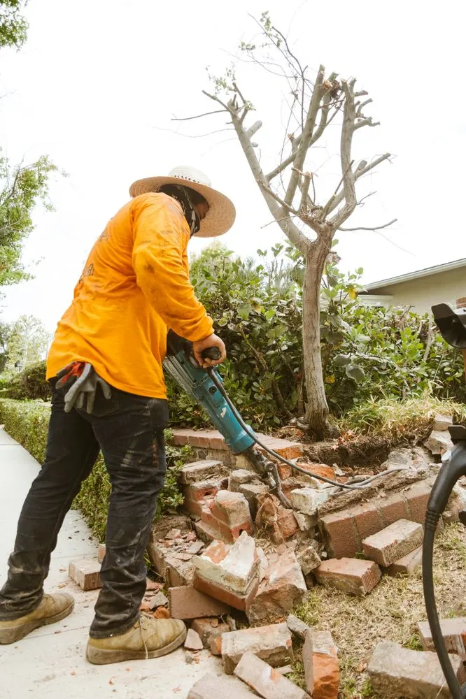 Local landscape design for beautiful yards in Santa Ana, CA by TierraVista Landscaping