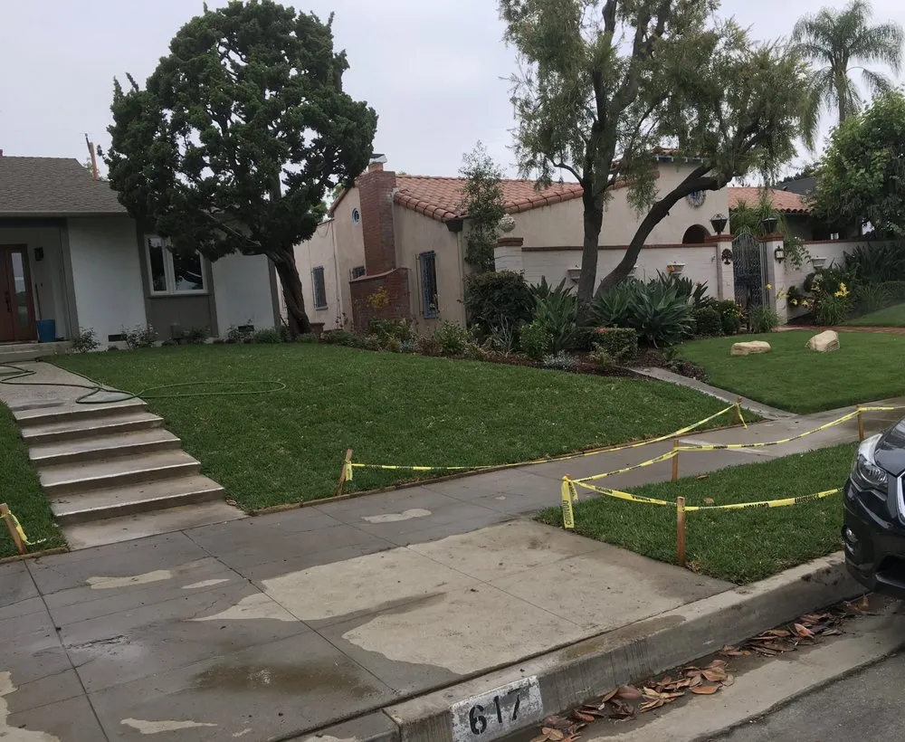 Affordable landscape design for year-round maintenance in Santa Ana, CA by TierraVista Landscaping