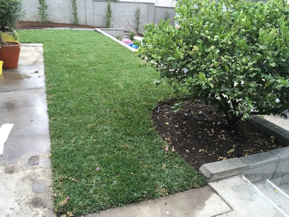 Trusted lawn mowing service with custom design in Santa Ana, CA by TierraVista Landscaping