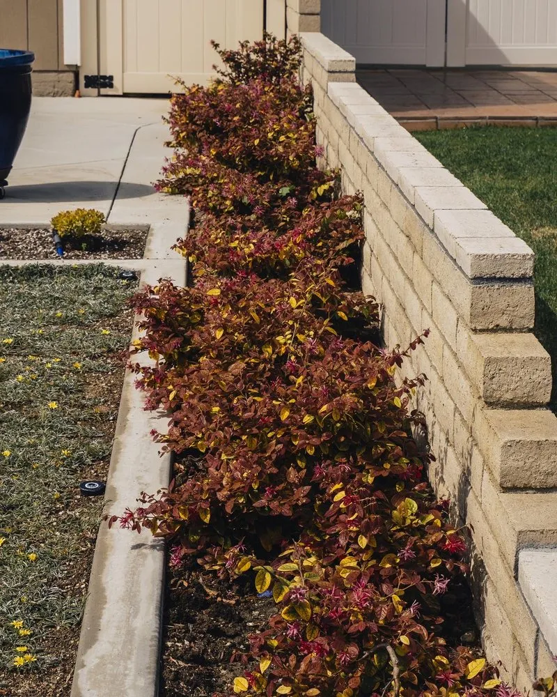 Local outdoor landscaping for residential properties in Santa Ana, CA by TierraVista Landscaping