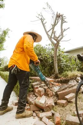 TierraVista Landscaping Logo