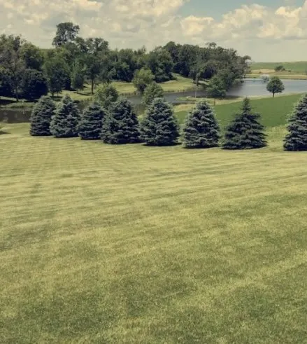 Affordable lawn mowing service near you in Ossian, IA by Tieskoetter Lawn Care