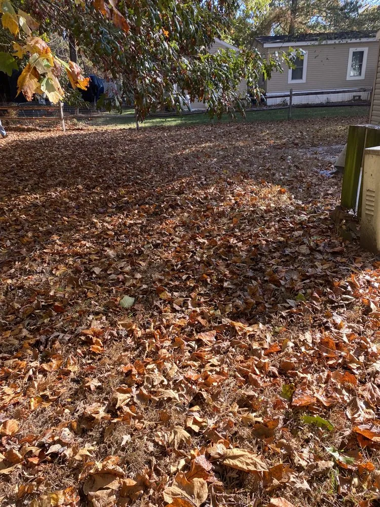 Affordable yard cleanup service with custom design in Millsboro, DE by Tiffany's Lawn Care and Services