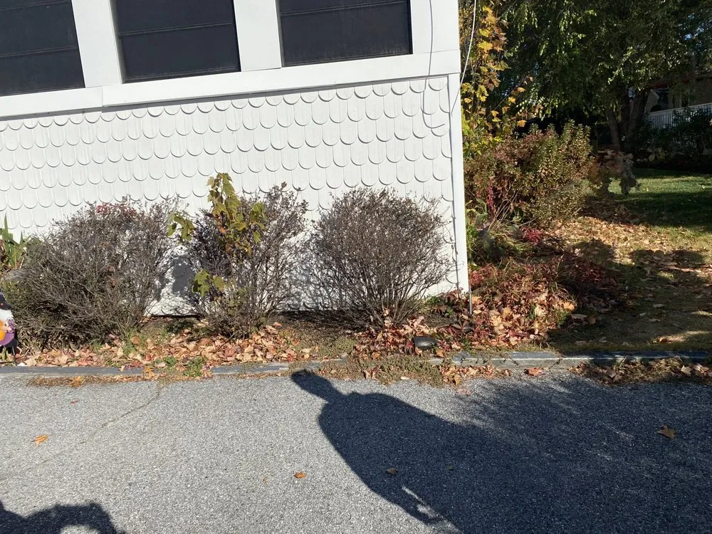 Affordable lawn care service for outdoor upgrades across Millsboro, DE - Tiffany's Lawn Care and Services