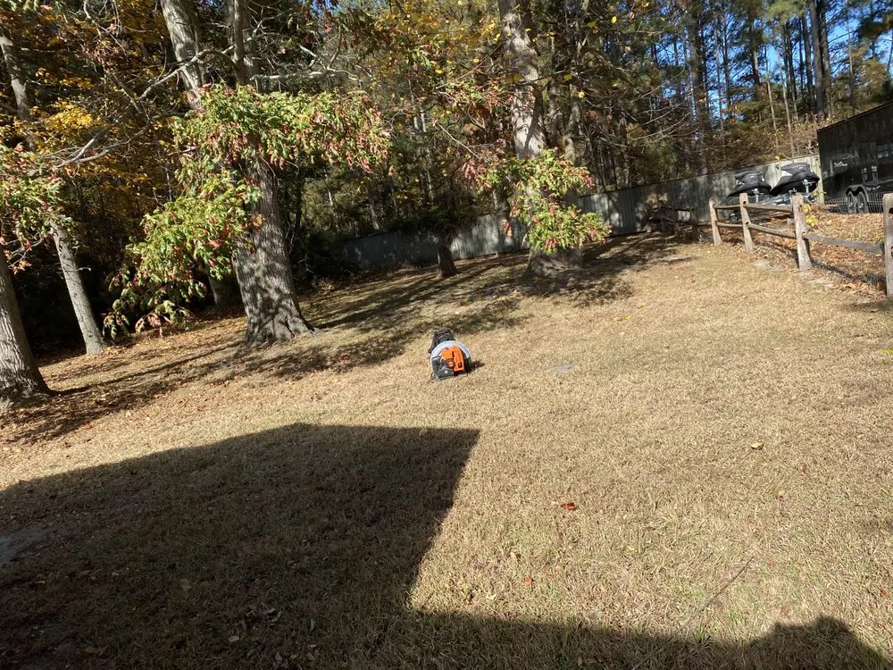 Affordable outdoor landscaping in Millsboro, DE - Tiffany's Lawn Care and Services