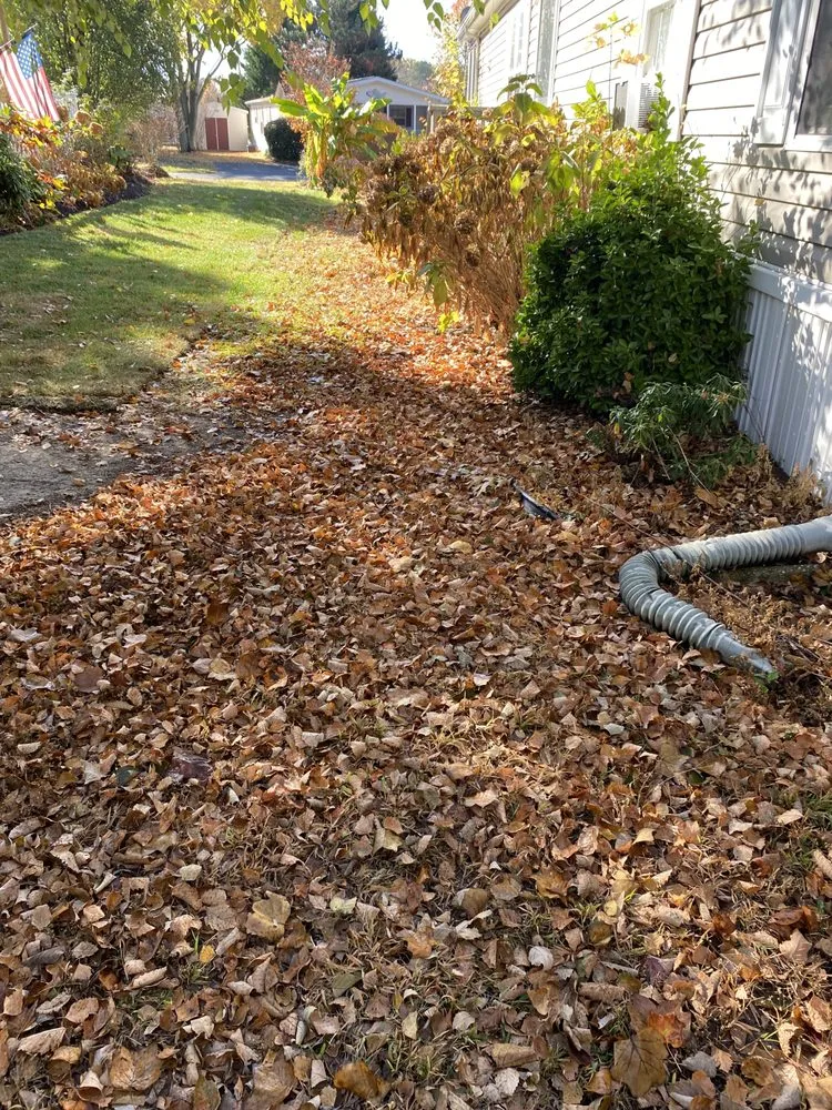 Trusted yard maintenance in Millsboro, DE by Tiffany's Lawn Care and Services