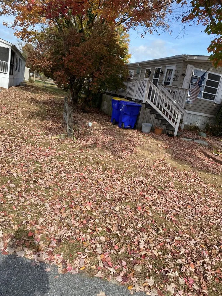 Affordable outdoor landscaping experts serving Millsboro, DE - Tiffany's Lawn Care and Services