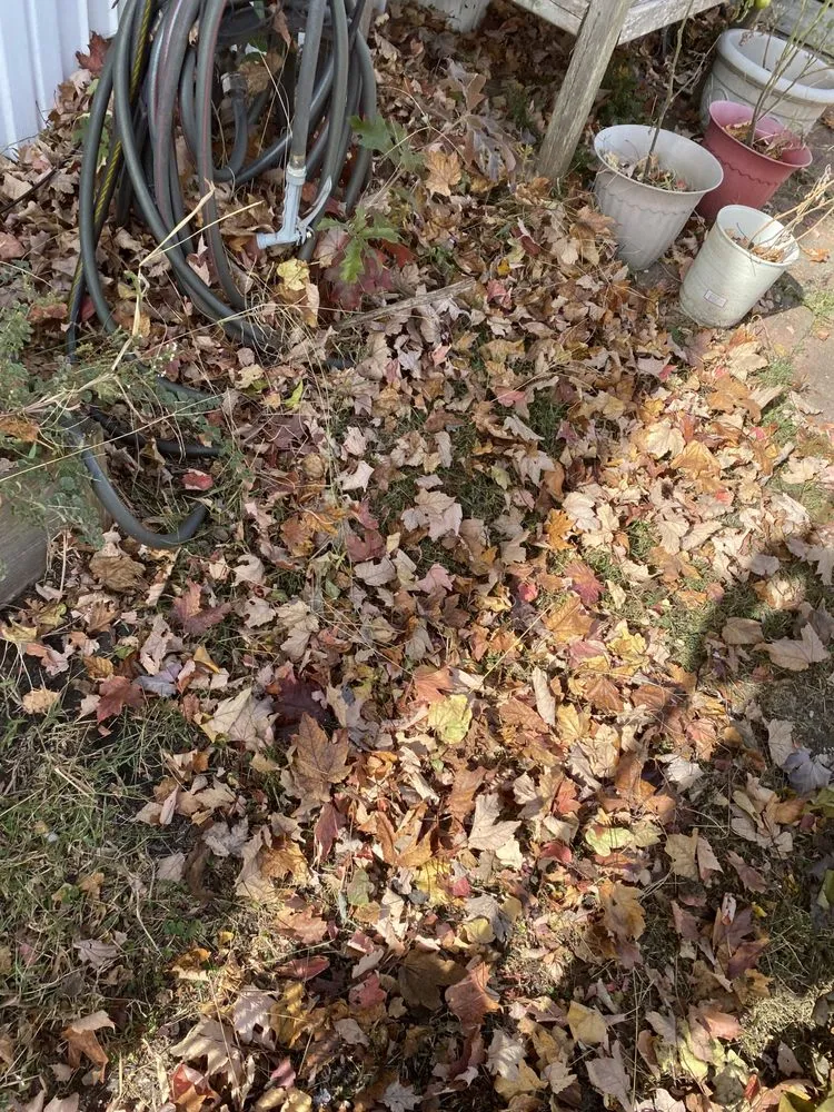 Local lawn care service in Millsboro, DE by Tiffany's Lawn Care and Services