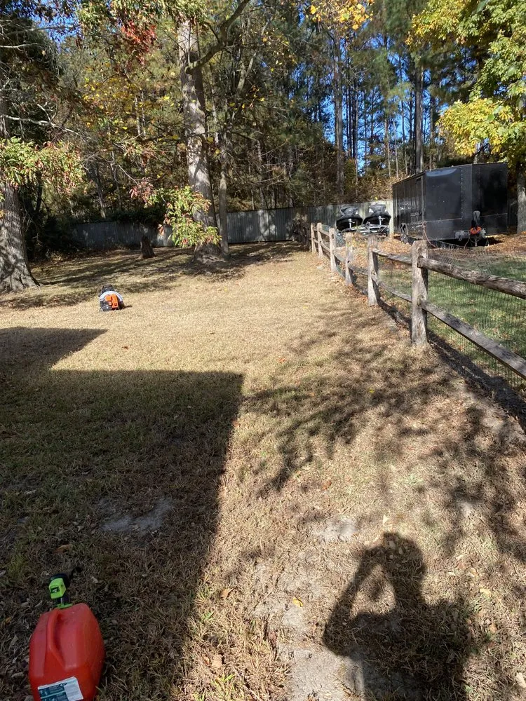 Local lawn care service in Millsboro, DE by Tiffany's Lawn Care and Services