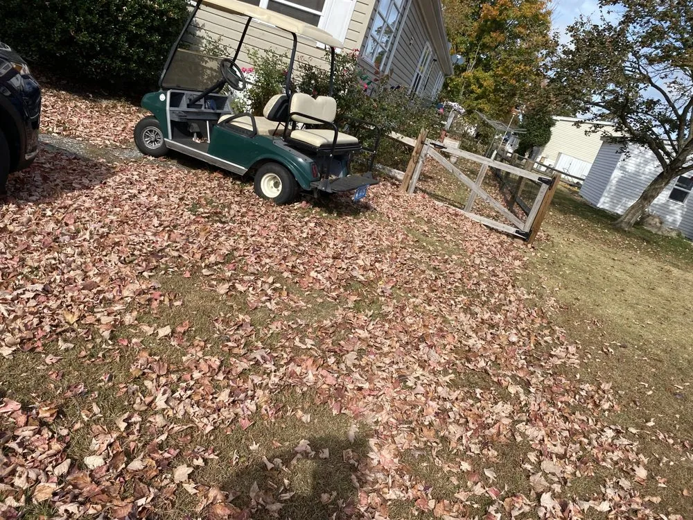 Top-rated yard cleanup service for homes across Millsboro, DE - Tiffany's Lawn Care and Services