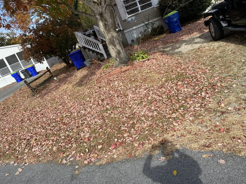 Reliable landscape design experts serving Millsboro, DE - Tiffany's Lawn Care and Services