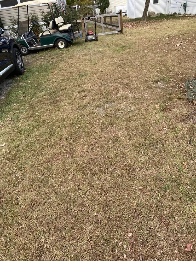 Top-rated residential landscaping for beautiful yards across Millsboro, DE - Tiffany's Lawn Care and Services