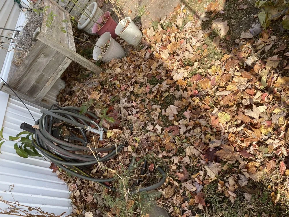 Affordable landscape design in Millsboro, DE - Tiffany's Lawn Care and Services