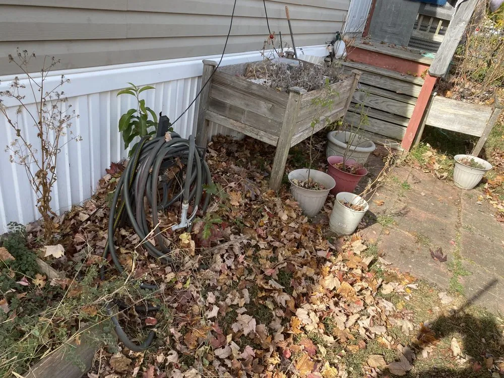 Reliable lawn mowing service with custom design across Millsboro, DE - Tiffany's Lawn Care and Services