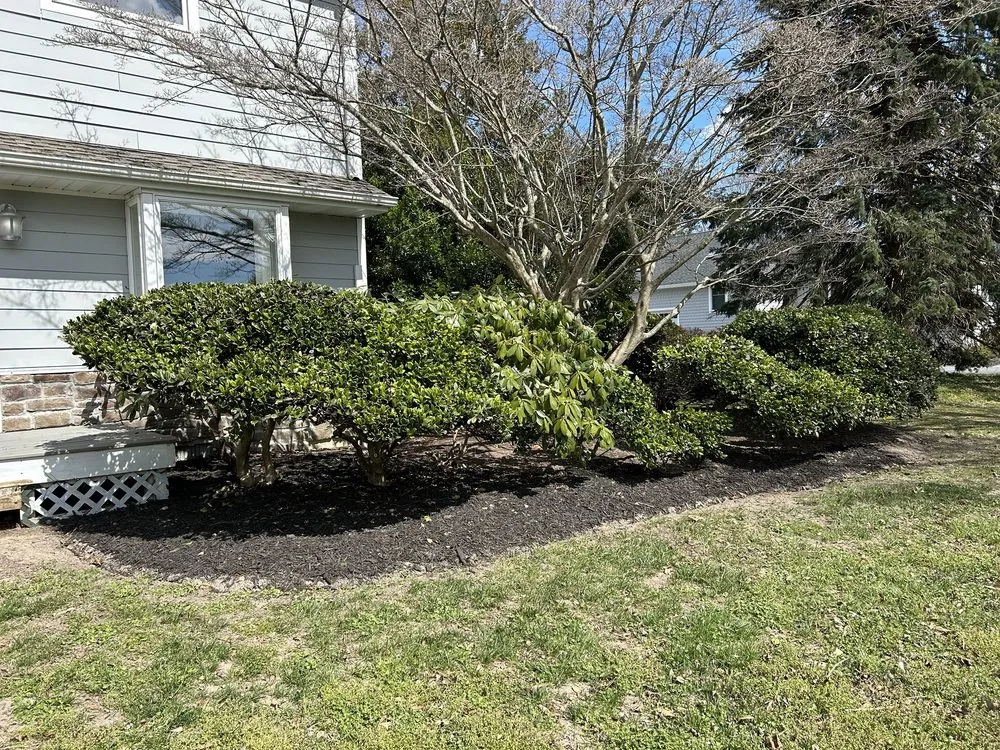 Top-rated lawn mowing service for homes across Millsboro, DE - Tiffany’s Lawn Care Services