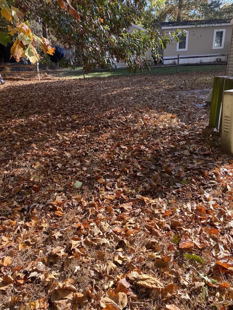 Custom yard cleanup service for year-round maintenance in Millsboro, DE by Tiffany’s Lawn Care Services