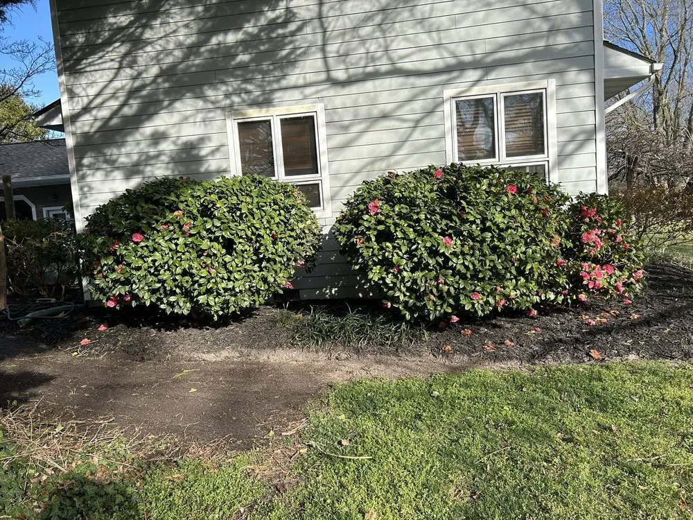 Local outdoor landscaping near you in Millsboro, DE by Tiffany’s Lawn Care Services