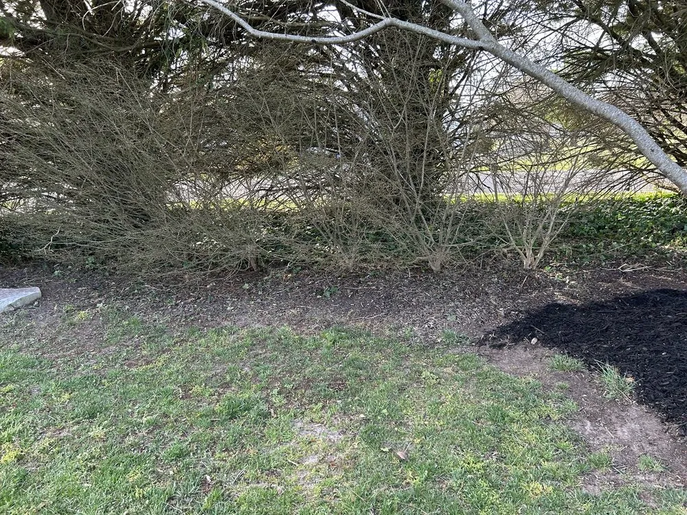 Local landscape installation for outdoor upgrades across Millsboro, DE - Tiffany’s Lawn Care Services