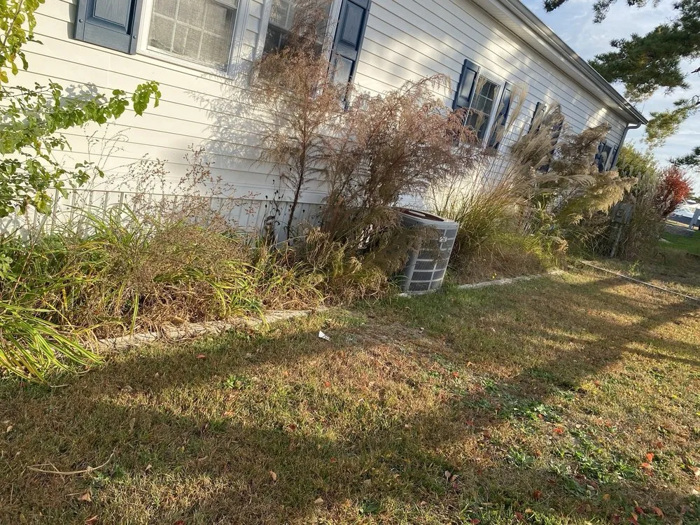 Professional yard cleanup service in Millsboro, DE - Tiffany’s Lawn Care Services