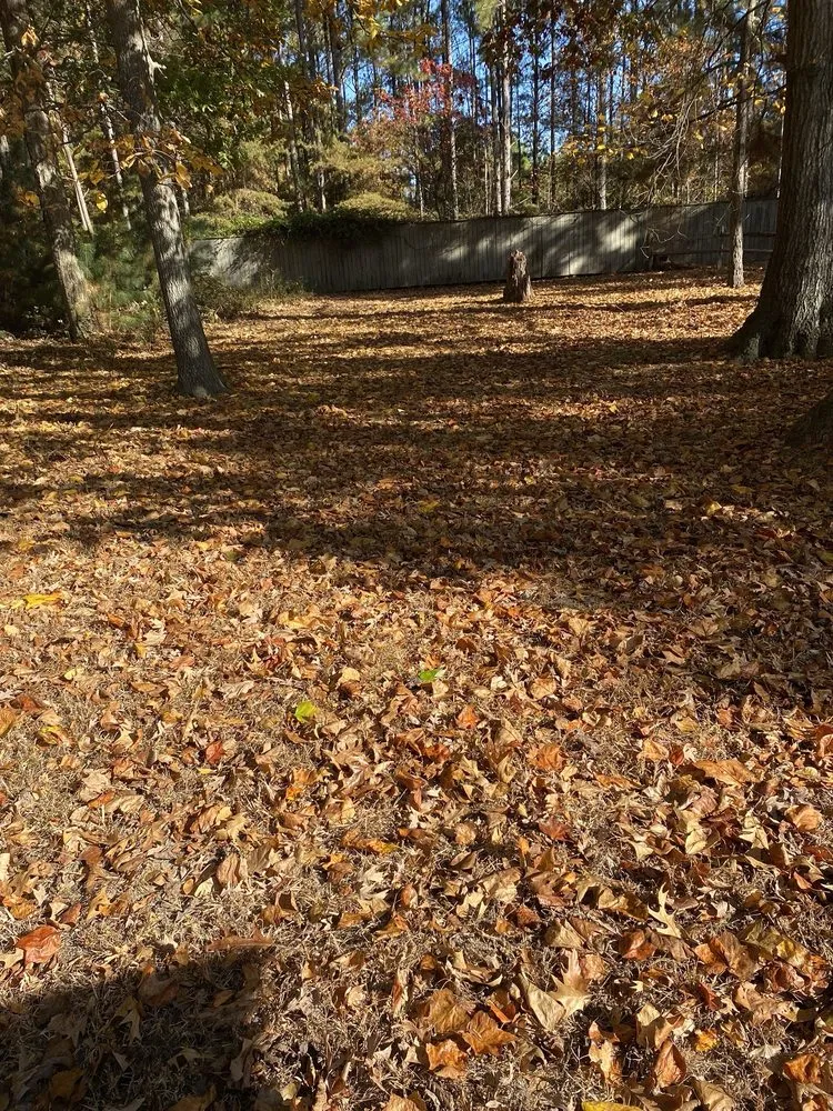 Local landscape installation for beautiful yards in Millsboro, DE by Tiffany’s Lawn Care Services
