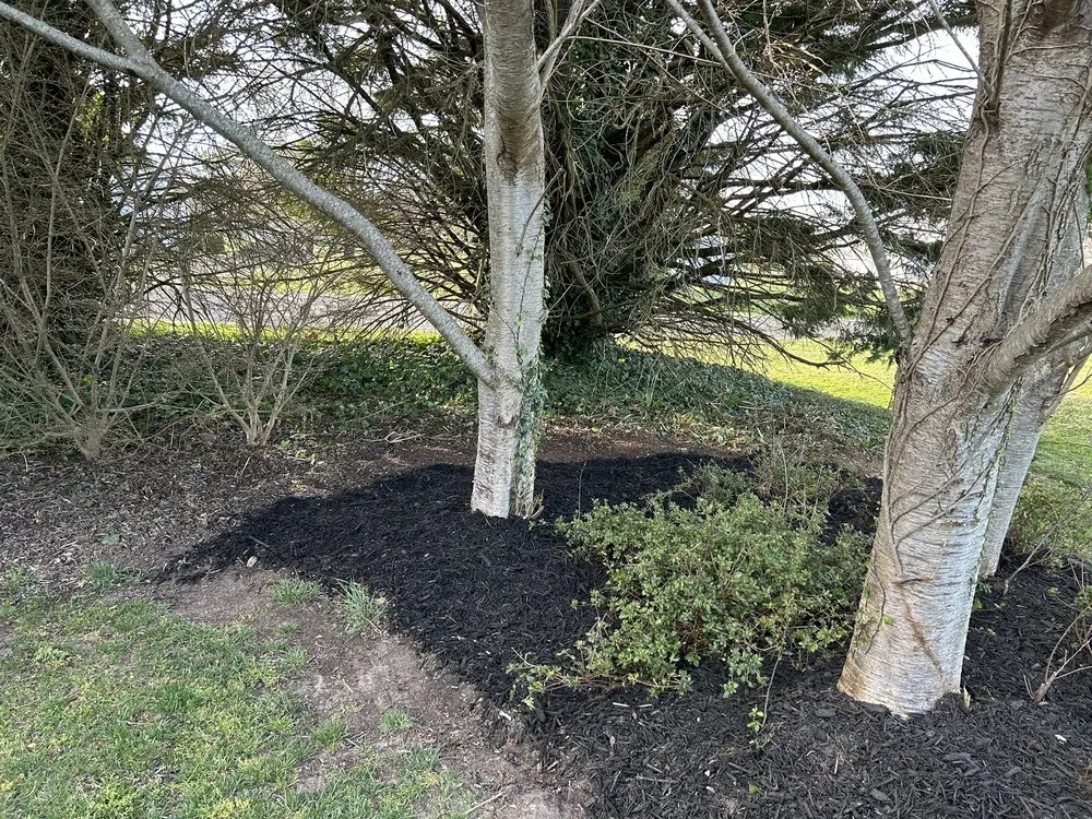 Trusted landscape design with custom design across Millsboro, DE - Tiffany’s Lawn Care Services