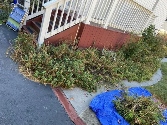 Tiffany’s Lawn Care Services Logo