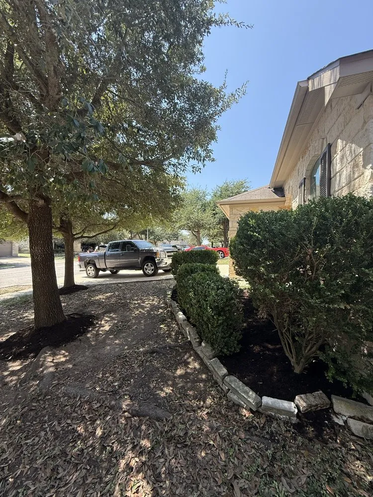 Professional garden landscaping in San Marcos, TX by Tifo’s Trim