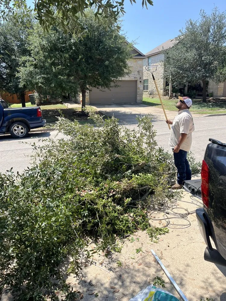 Trusted landscaping services for beautiful yards in San Marcos, TX by Tifo’s Trim