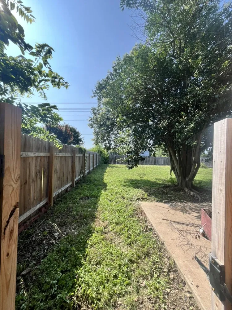 Top-rated yard maintenance for beautiful yards across San Marcos, TX - Tifo’s Trim