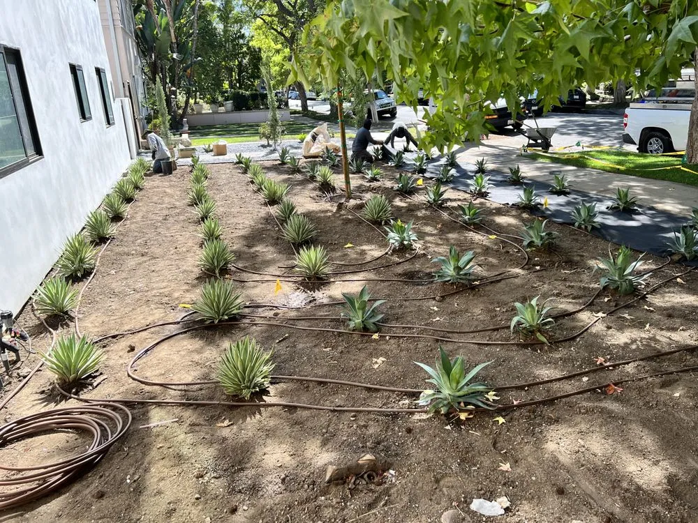 Custom garden landscaping experts serving California City, CA - Tigas Sprinkler