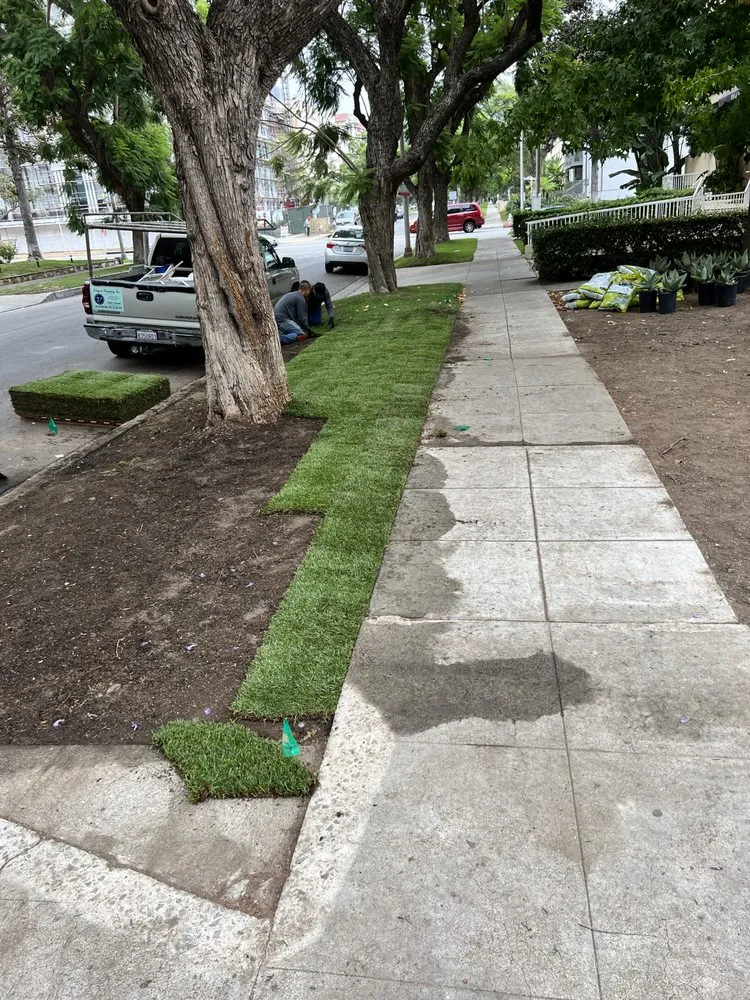 Custom garden landscaping in California City, CA - Tigas Sprinkler