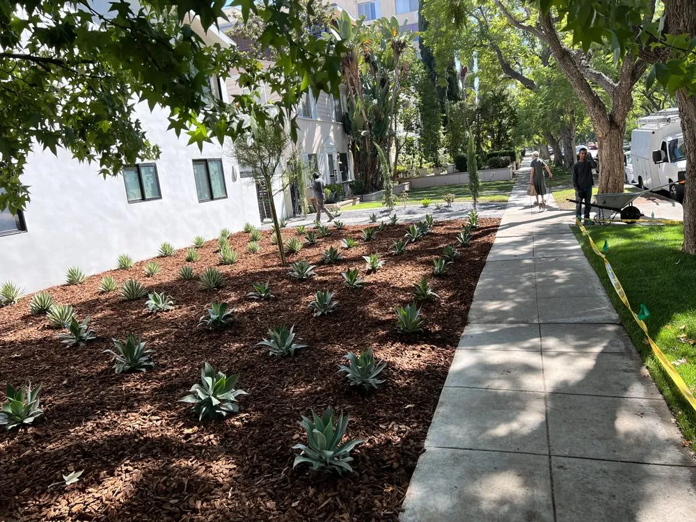 Local landscaping services in California City, CA by Tigas Sprinkler