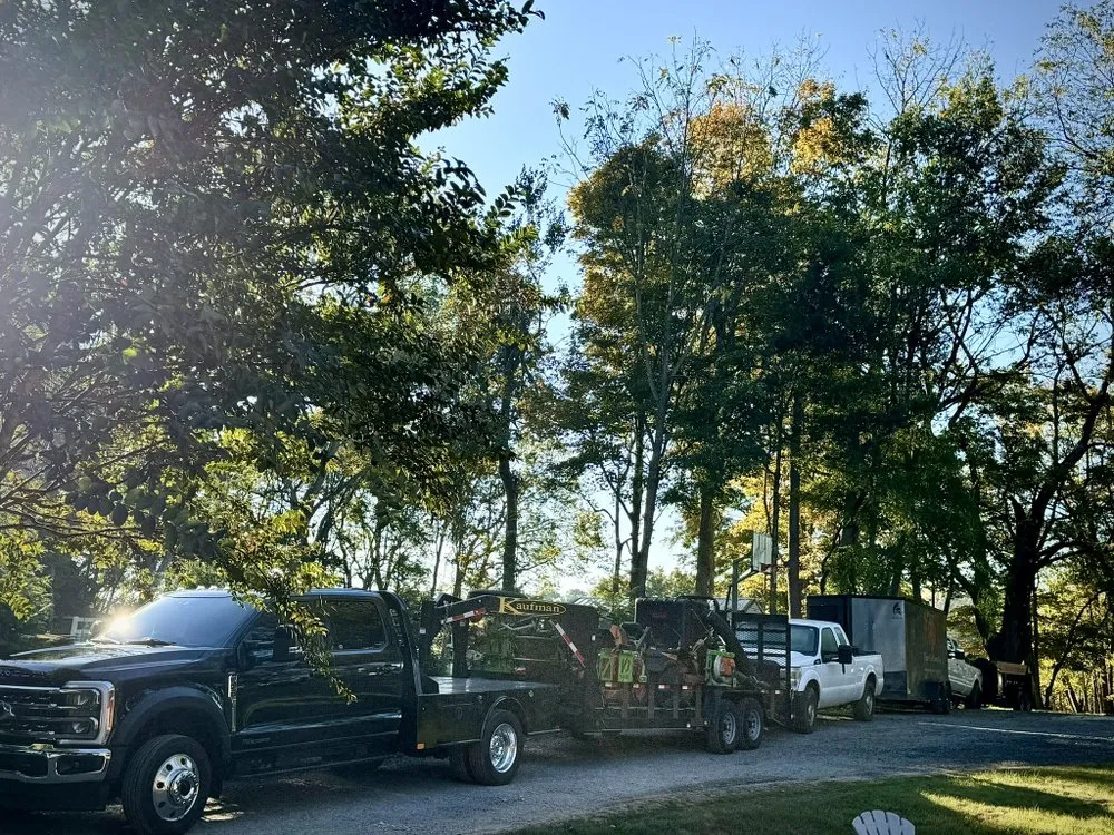 Expert landscape installation for outdoor upgrades across Randleman, NC - Tiger Cut Lawns